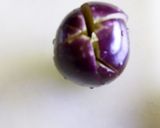 A picture of step 1 of Brinjal gravy.