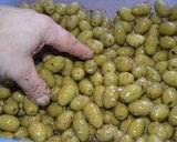 Foto del paso 5 de la receta: Zaitun marsus (Preparación de aceitunas)