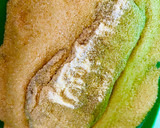 Foto del paso 5 de la receta: MILANESAS DE 🍆 BERENJENA 🍆 RELLENAS 🤗🙌🏼🍆😋🍆