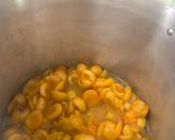 Foto del paso 2 de la receta: Mermelada de Damasco