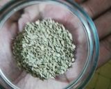 A picture of step 4 of Dal dhokli.