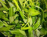 Foto langkah ke 4 dari resep Kangkung Tauco Telur Puyuh.