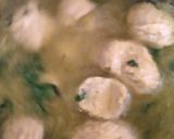 A picture of step 8 of Veg pulao.