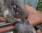 Foto langkah ke 1 dari resep 40. Sotong bumbu hitam.