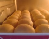 Foto langkah ke 6 dari resep Roti Manis All in One Simple dan Mudah untuk Pemula.