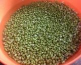 मिक्स वैजिटेबल ग्रीन मूंग दाल चीला (mix vegetable green moong cheela recipe in Hindi) रेसिपी चरण 1 फोटो