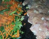 Foto del paso 12 de la receta: Salteado de pollo y verduras fácil