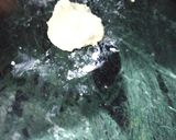 A picture of step 1 of Chhena Pantua.