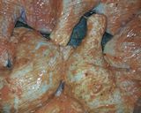 Foto del paso 1 de la receta: Pollo al horno con mostaza