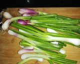 લીલી ડુંગળી ટામેટાનું શાક(Spring onion tomato sabji recipe in gujarati) રેસીપી સ્ટેપ1ફોટો