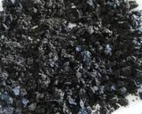 Foto del paso 4 de la receta: Tierra de aceitunas negras