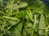 Tumis kangkung