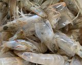 Gambar langkah 1 resipi Sup Bebola Udang +Ayam.
