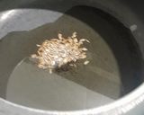 A picture of step 2 of Flat Beans Rice.