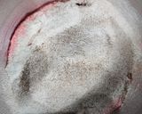 Foto del paso 8 de la receta: ❤️🎂 Pink red velvet con creamcheese de chocolate blanco 🎂❤️