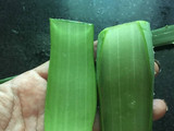 डाइट जूस (Diet juice recipe in hindi)