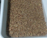 Foto del paso 1 de la receta: Guiso de lentejas