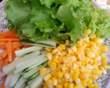 Foto langkah ke 2 dari resep Salad Roll Vietnam (Chicken).