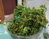 Foto langkah ke 1 dari resep Gulai Pakis.