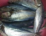Foto langkah ke 1 dari resep Pepes ikan kembung #pr_masakanbungkusdaun.