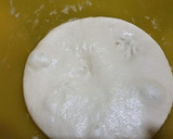 Foto del paso 1 de la receta: Pizza napolitana casera