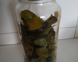 Foto del paso 1 de la receta: Licor de Menta