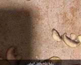 صورة لخطوة 2 من وصفة شوربة الفريكة بالكريمة