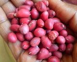 A picture of step 10 of Njugu karanga (roasted peanuts).