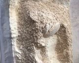 Foto del paso 2 de la receta: Pan de avena con semillas 🌱