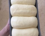 Foto langkah ke 6 dari resep Shokupan.