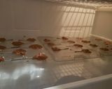 Foto del paso 5 de la receta: Bombones de chocolate con crispis