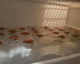 Foto del paso 5 de la receta: Bombones de chocolate con crispis
