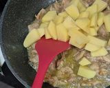 Foto langkah ke 5 dari resep Opor Ayam Fillet & Kentang Creamy, 4 Bahan Praktis.