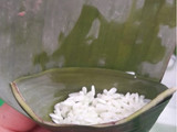 Lupis
