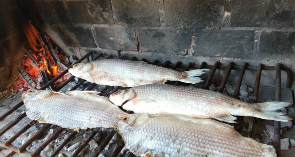 Como hacer Pescado A La Parrilla | Cocinar en casa