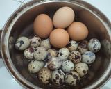 Foto langkah ke 1 dari resep Semur telor ayam,puyuh & bakso.