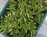 Foto langkah ke 1 dari resep Tumis Bunga Pepaya & Teri Anti Pahit.