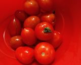 A picture of step 1 of Indian style tomato chutney.
