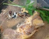 Foto langkah ke 2 dari resep Sup Iga Sapi.