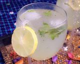A picture of step 2 of Lemon pepper and mint juice.