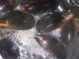 Sopa de mejillones al azafrán