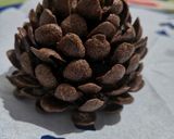 Foto del passaggio 7 della ricetta PIGNE AL CIOCCOLATO E CEREALI 🌲