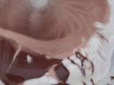 Mousse de chocolate