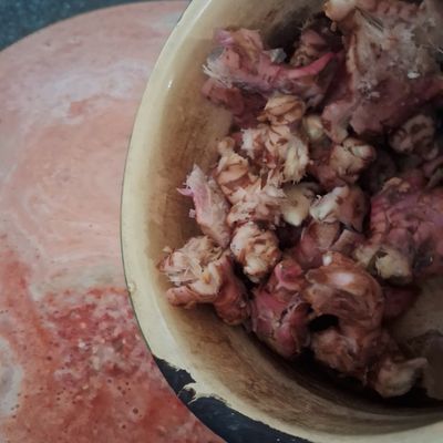Langkah 5