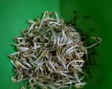 Foto langkah ke 2 dari resep Sayur campur urban.