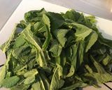 Une image de l'étape 4 de Herbes fraîches au naturel (menthe, coriandre, persil frisé).