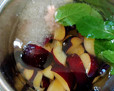 આલૂબુખારા જ્યુસ (Aloobukhara Juice Recipe In Gujarati) રેસીપી સ્ટેપ2ફોટો