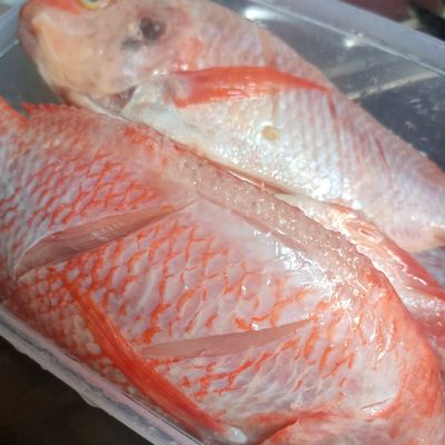 Langkah 1