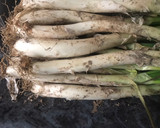 Foto del paso 2 de la receta: Crema de calçots light