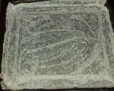 Foto langkah ke 2 dari resep Bolu gulung.